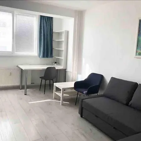 Cute 布拉迪斯拉发